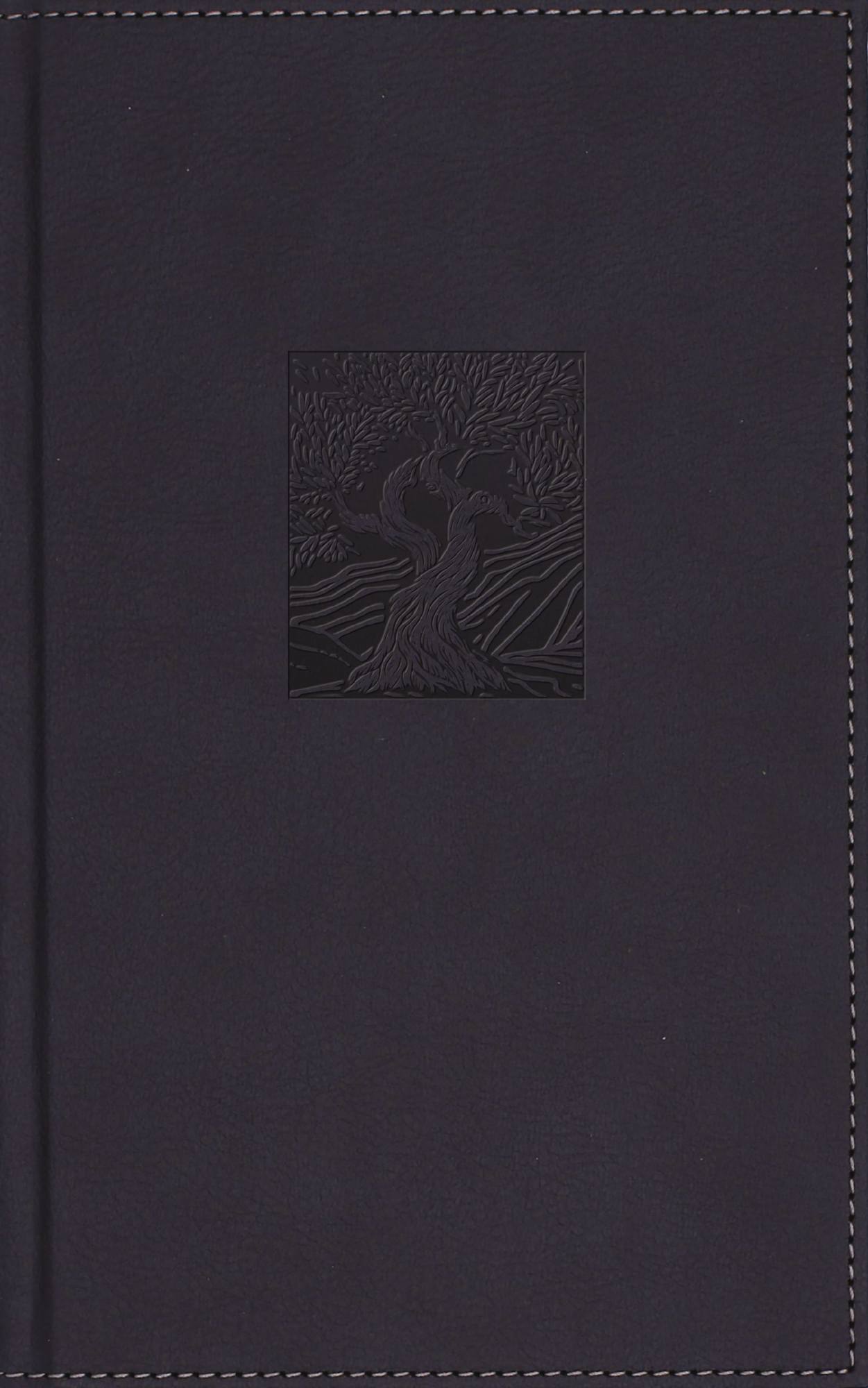 B NIV HERITAGE BIBLE  NAVY (RED LETTER  PAGE EDGE ART EDITION)