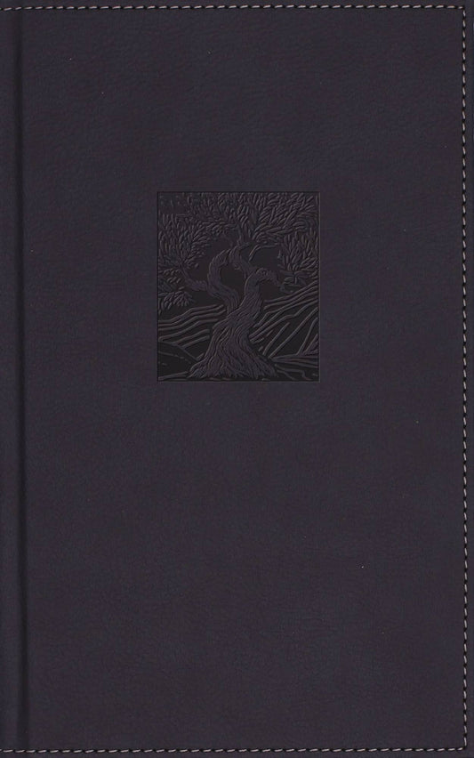 B NIV HERITAGE BIBLE  NAVY (RED LETTER  PAGE EDGE ART EDITION)