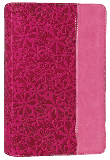 B NIV ADVENTURE BIBLE RASPBERRY PINK (BLACK LETTER EDITION)