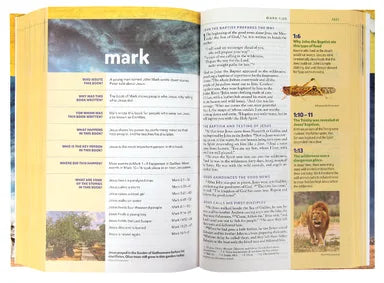 B NIV KIDS' VISUAL STUDY BIBLE FULL COLOR INTERIOR