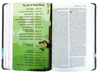 NIV ADVENTURE BIBLE GRAY (BLACK LETTER EDITION)