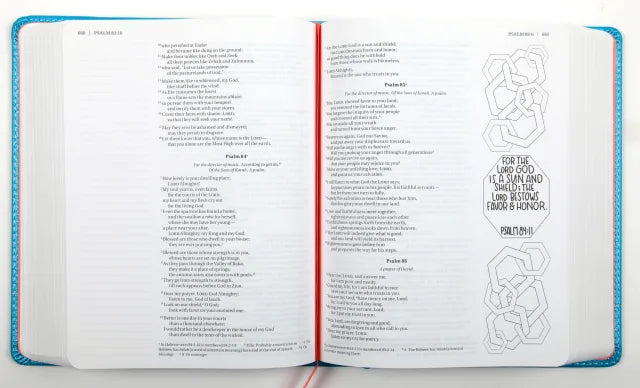 NIV BEAUTIFUL WORD COLORING BIBLE FOR GIRLS TEAL (BLACK LETTER EDITION)