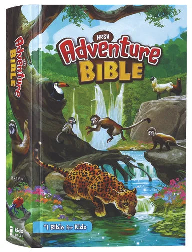 B NRSV ADVENTURE BIBLE