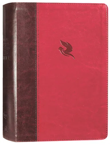 NKJV SPIRIT-FILLED LIFE BIBLE BURGUNDY (RED LETTER EDITION) (THIRD EDITION)