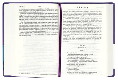 NIV Colour Burst Bible Large Print Royal Purple