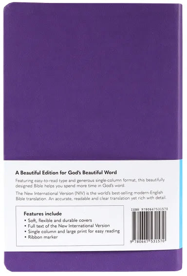 NIV Colour Burst Bible Large Print Royal Purple