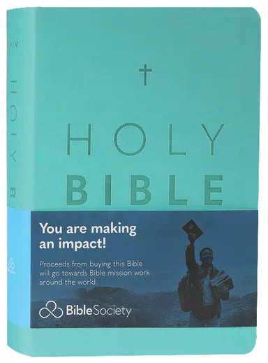 NIV Colour Burst Bible Large Print Mint