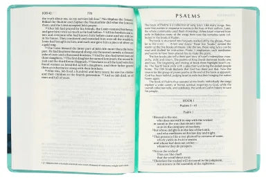 NIV Colour Burst Bible Large Print Mint