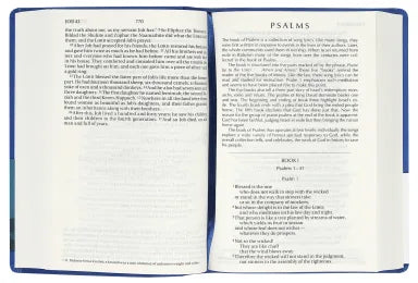 NIV Colour Burst Bible Large Print Midnight Blue