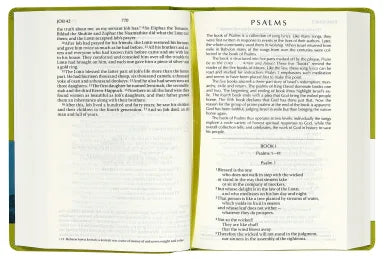 NIV Colour Burst Bible Large Print Evergreen