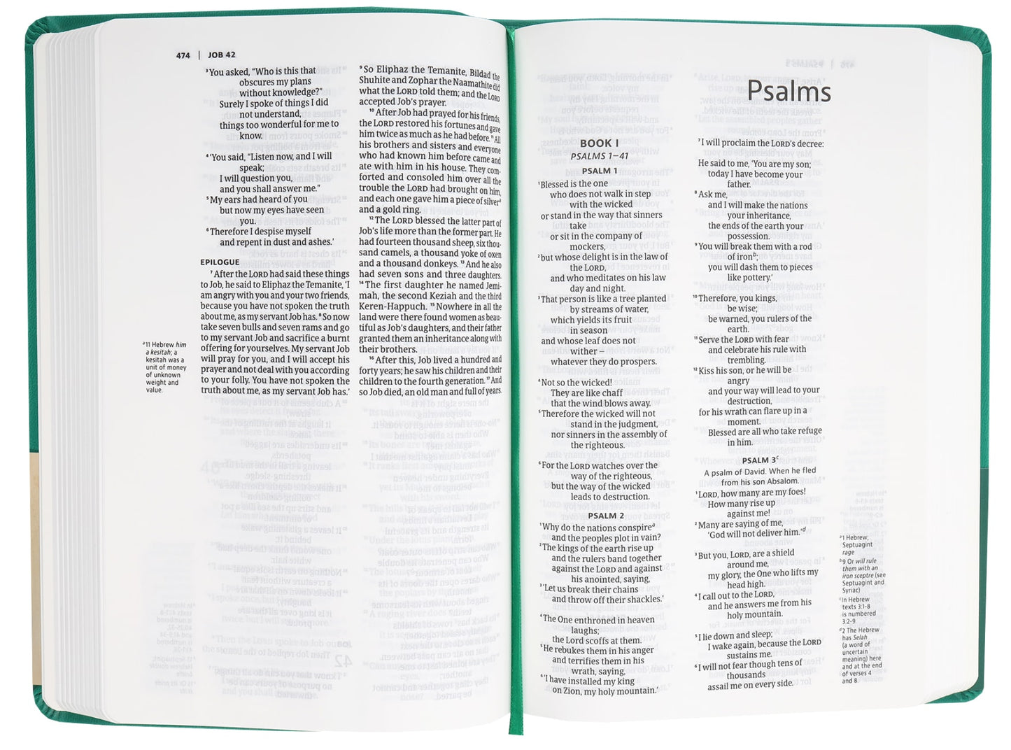 B NIV SLIMLINE BIBLE RICH GREEN (BLACK LETTER EDITION)(ANGLICISED TEXT)