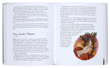 THE LION WONDROUS BIBLE (GIFT EDITION)