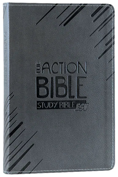 B ESV ACTION STUDY BIBLE GRAY