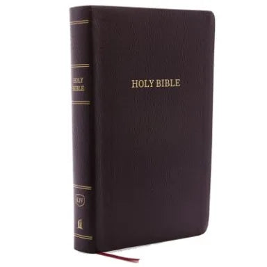 B KJV REFERENCE BIBLE INDEXED PERSONAL SIZE GIANT PRINT BURGUNDY (RED LETTER EDITION)