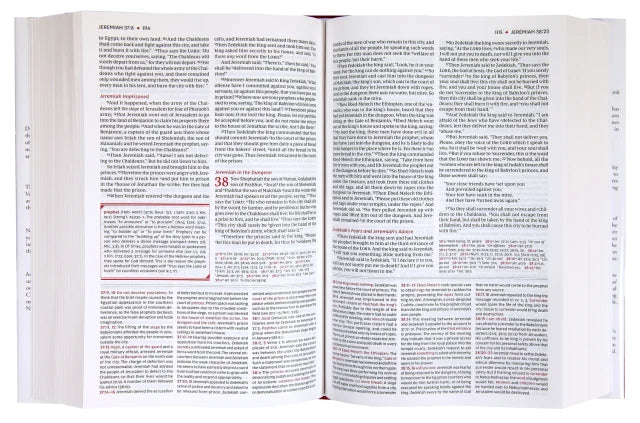 B NKJV STUDY BIBLE BLACK (BLACK LETTER EDITION)