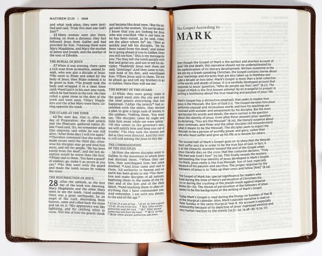 NRSV CATHOLIC BIBLE GIFT EDITION BROWN (ANGLICISED)