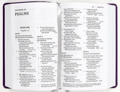 NKJV END-OF-VERSE REFERENCE BIBLE PERSONAL SIZE LARGE PRINT PURPLE (RED LETTER EDITION)