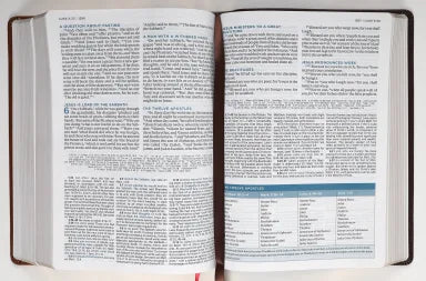 B ESV MACARTHUR STUDY BIBLE 2ND EDITION BROWN (BLACK LETTER EDITION)