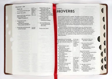 NKJV REFERENCE BIBLE CENTER-COLUMN GIANT PRINT BROWN THUMB INDEX (RED LETTER EDITION)