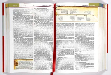 B NKJV CHRONOLOGICAL STUDY BIBLE