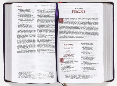 NKJV PERSONAL SIZE REFERENCE BIBLE SOVEREIGN COLLECTION PURPLE (RED LETTER EDITION)