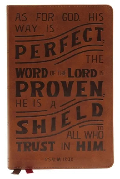 B NKJV PERSONAL SIZE REFERENCE BIBLE VERSE ART COVER COLLECTION TAN THUMB INDEXED (RED LETTER EDITION)
