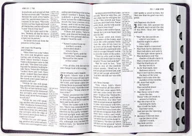 B NKJV GIANT PRINT CENTER-COLUMN REFERENCE BIBLE VERSE ART COVER COLLECTION PURPLE THUMB INDEXED (RED LETTER EDITION)