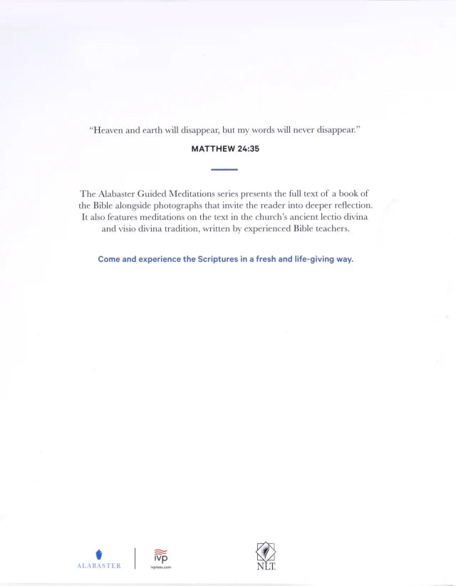 B NLT ALABASTER MATTHEW: READ REFLECT RESPOND REST