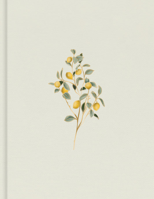 CSB HOSANNA REVIVAL NOTETAKING BIBLE LEMONS