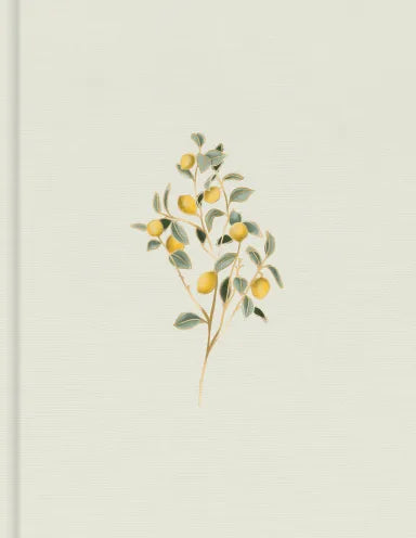 CSB HOSANNA REVIVAL NOTETAKING BIBLE LEMONS