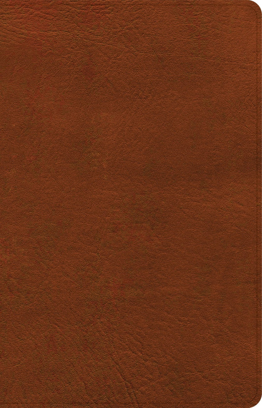 B NASB LARGE PRINT PERSONAL SIZE REFERENCE BIBLE BURNT SIENNA (RED LETTER EDITION)