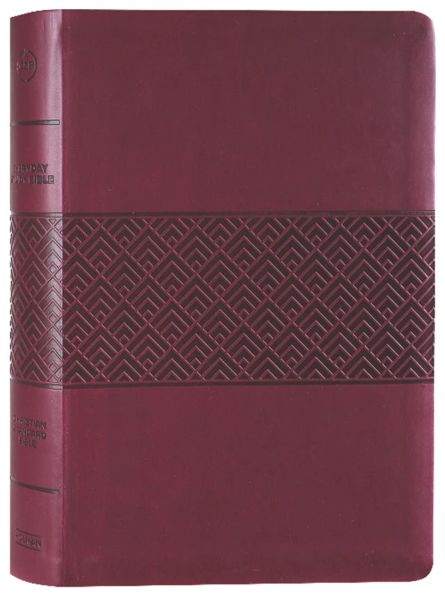 CSB EVERYDAY STUDY BIBLE WINE