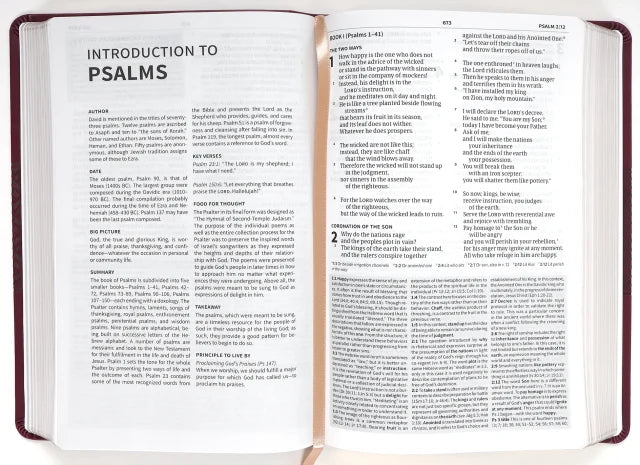 CSB EVERYDAY STUDY BIBLE WINE