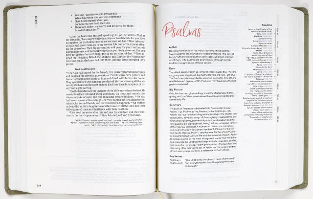 B CSB LIFEWAY WOMEN'S BIBLE SAGE (BLACK LETTER EDITION)