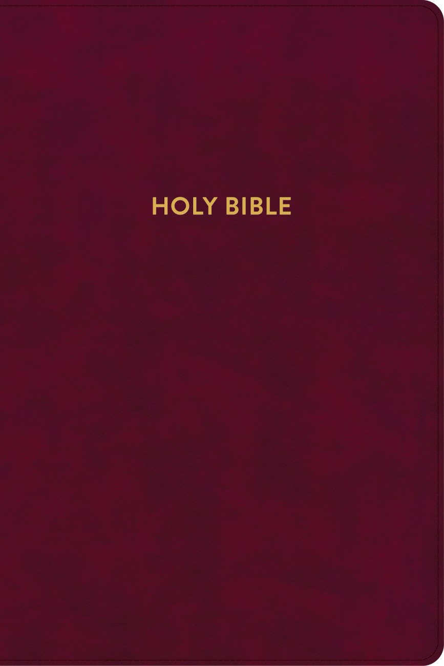 B KJV RAINBOW STUDY BIBLE BURGUNDY