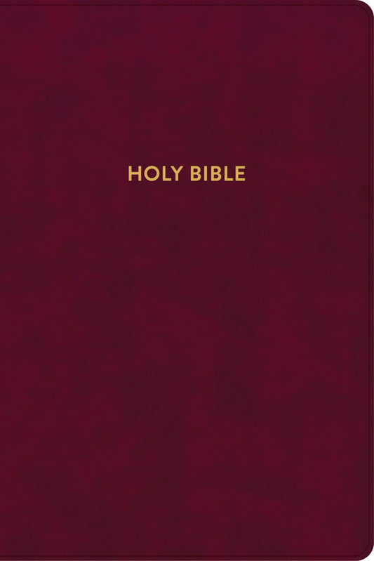 B KJV RAINBOW STUDY BIBLE BURGUNDY