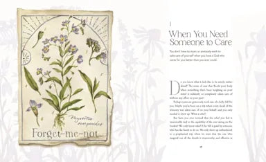 The Way of the Wildflower: Gospel Meditations to Unburden Your Anxious Soul