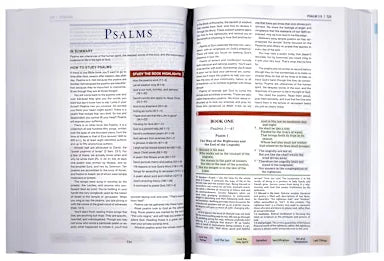 NKJV COLOR CODE STUDY BIBLE  (RED LETTER EDITION)