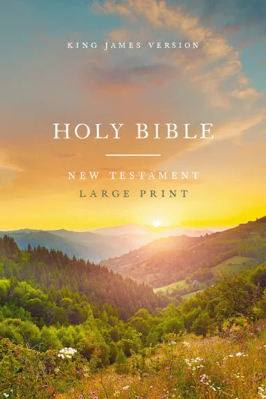 KJV LARGE PRINT OUTREACH NEW TESTAMENT BIBLE  SCENIC