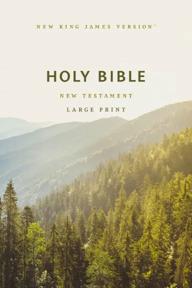 NKJV LARGE PRINT OUTREACH NEW TESTAMENT BIBLE  SCENIC