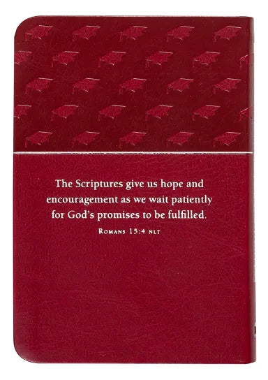 BIBLE PROMISES FOR GRADUATES RASPBERRY