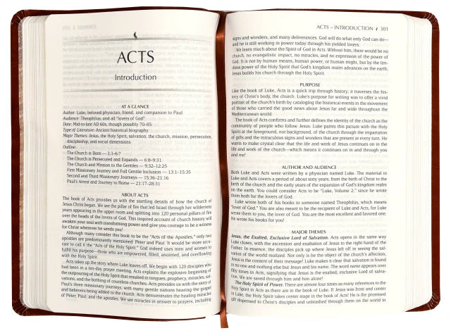 B TPT NEW TESTAMENT MASTERPIECE EDITION (WITH PSALMS PROVERBS AND SONG OF SONGS)