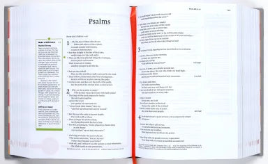 NLT MAKE A DIFFERENCE YOUTH BIBLE