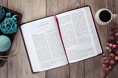 B TPT NEW TESTAMENT 2020  COMPACT GIANT PRINT  BURGUNDY (BLACK LETTER EDITION) (WITH PSALMS  PROVERBS AND THE SONG OF SONGS)