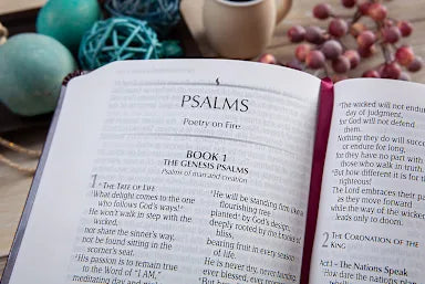 B TPT NEW TESTAMENT 2020  COMPACT GIANT PRINT  BURGUNDY (BLACK LETTER EDITION) (WITH PSALMS  PROVERBS AND THE SONG OF SONGS)