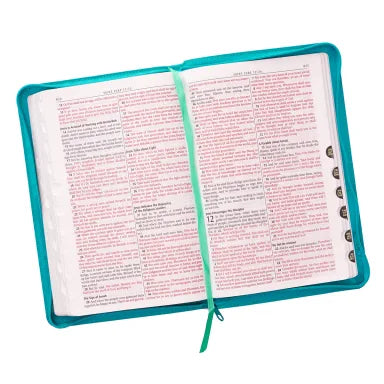 B KJV GIFT AND AWARD BIBLE ZIPPERED AQUA RED LETTER EDITION