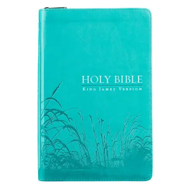 B KJV GIFT AND AWARD BIBLE ZIPPERED AQUA RED LETTER EDITION