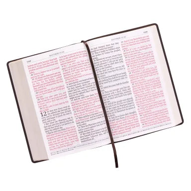 B KJV SUPER GIANT PRINT BIBLE BROWN (RED LETTER EDITION)