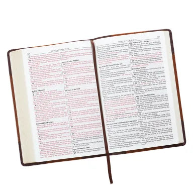 B KJV LARGE PRINT THINLINE BIBLE BROWN PORTFOLIO RED LETTER EDITION