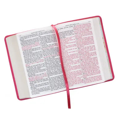B KJV COMPACT LARGE PRINT PINK RED LETTER EDITION